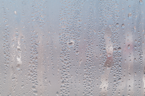 humidity on window