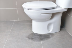 image of a toilet leaking at its base