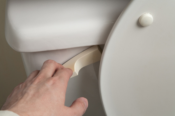 image of a homeowner flushing toilet