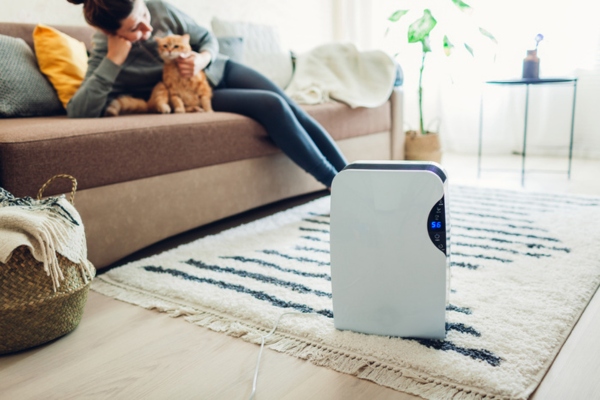 cat and human on the couch with portable dehumidifer