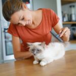 woman grooming cat hair with brush